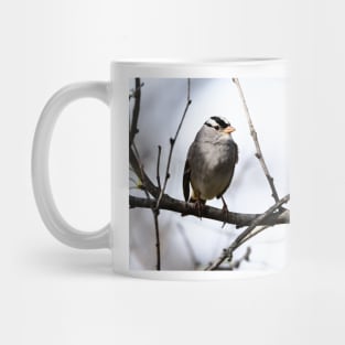 White Crowned Sparrow Mug